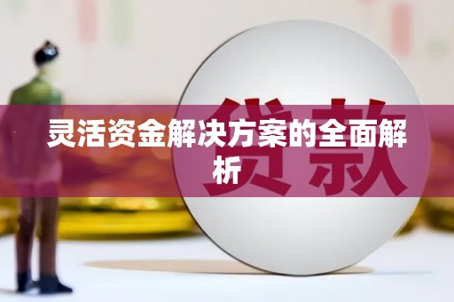 西吉灵活资金解决方案的全面解析