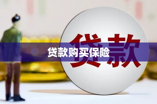 西吉贷款购买保险
