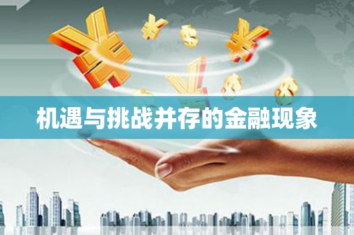 西吉机遇与挑战并存的金融现象