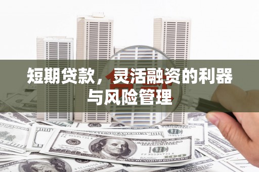 西吉短期贷款，灵活融资的利器与风险管理