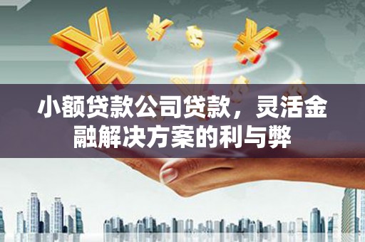 西吉小额贷款公司贷款，灵活金融解决方案的利与弊