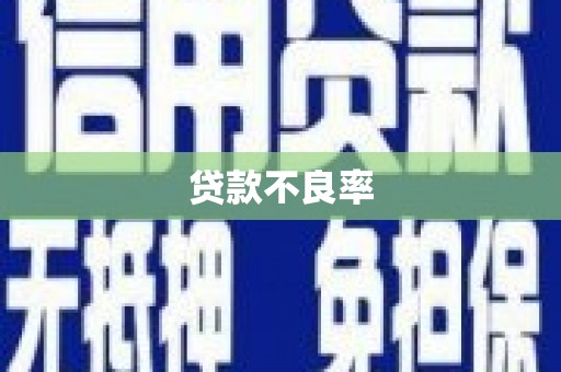 西吉贷款不良率