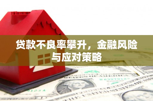 西吉贷款不良率攀升，金融风险与应对策略